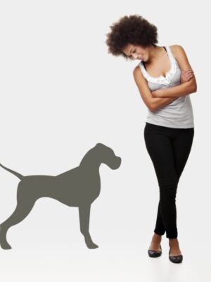 3843.jpg Vinilo decorativo perro