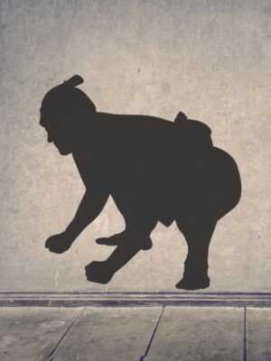 Vinilo decorativo luchador de sumo