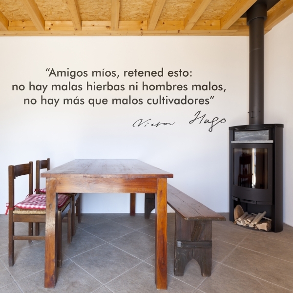 4133.jpg Vinilo decorativo frase de Victor Hugo