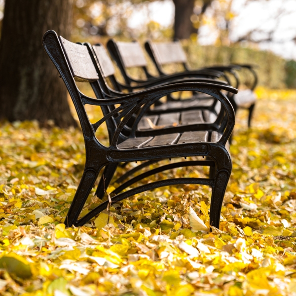 Fotomural bancos en otoño