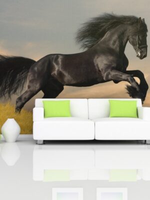 Fotomural pura sangre