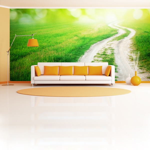 4325.jpg Fotomural camino rural