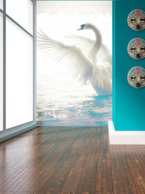 Fotomural cisne