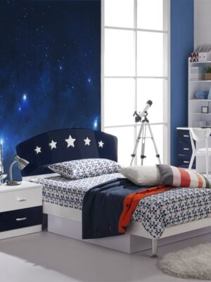 Fotomural estrellas en el cielo
