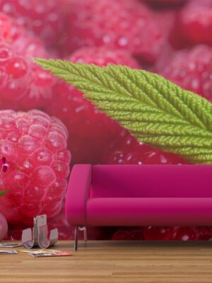 Fotomural frambuesas