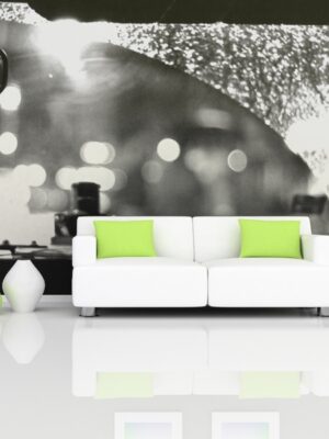 Fotomural taxi interior