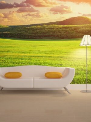 Fotomural prado verde