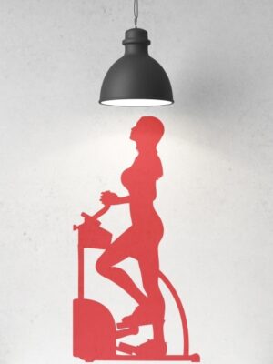 4673.jpg Vinilo decorativo step II