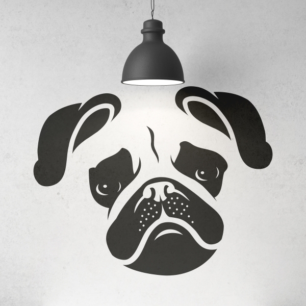 Vinilo decorativo Boxer