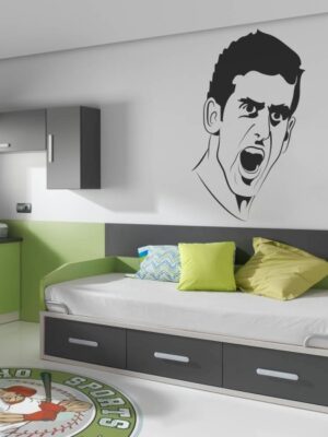 Vinilo decorativo Novak Djokovic