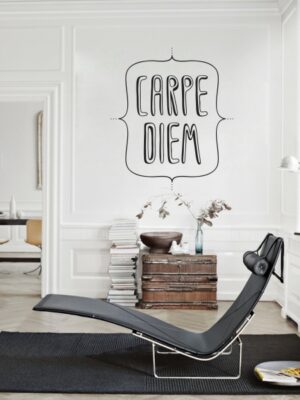 5147.jpg Vinilo decorativo Carpe Diem