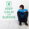 5514.jpg Vinilo decorativo Keep Calm Minecraft II