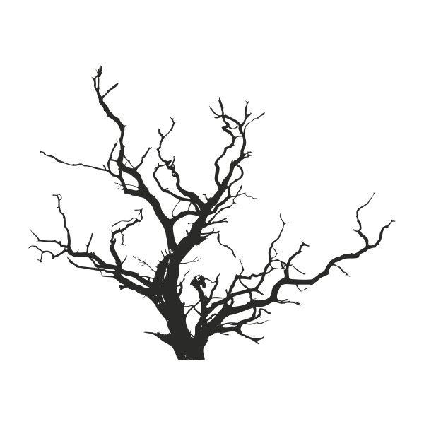 Vinilo decorativo arbol sin hojas