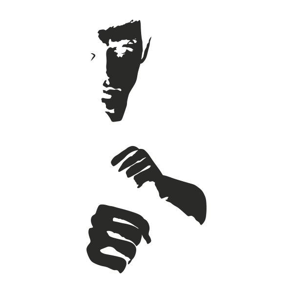 Vinilo decorativo Bruce Lee