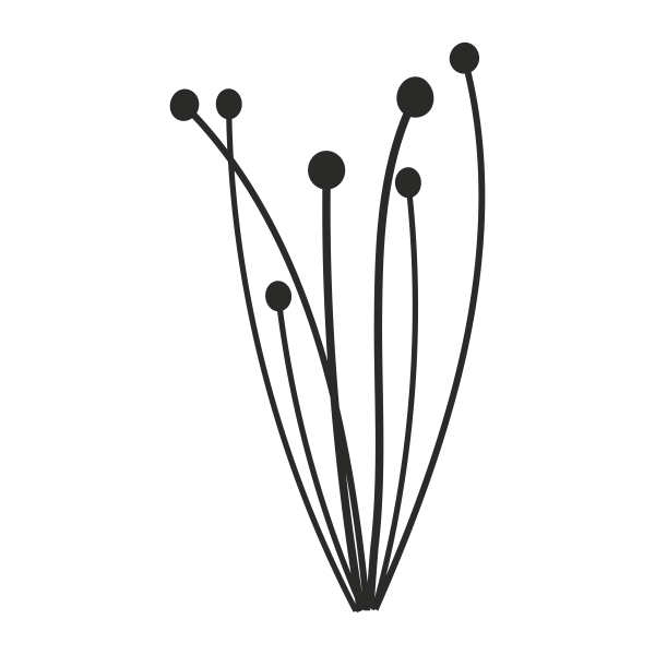 Vinilo decorativo orgánico