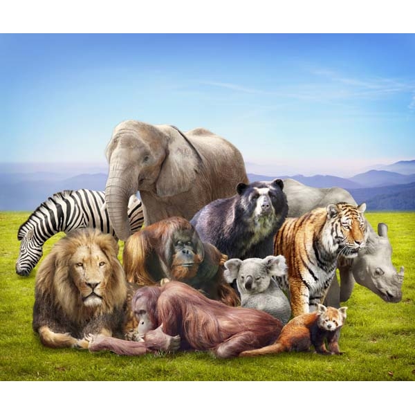 4304-1.jpg Fotomural animales