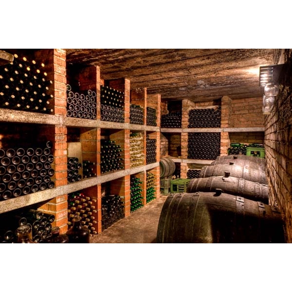 Fotomural bodega de vino