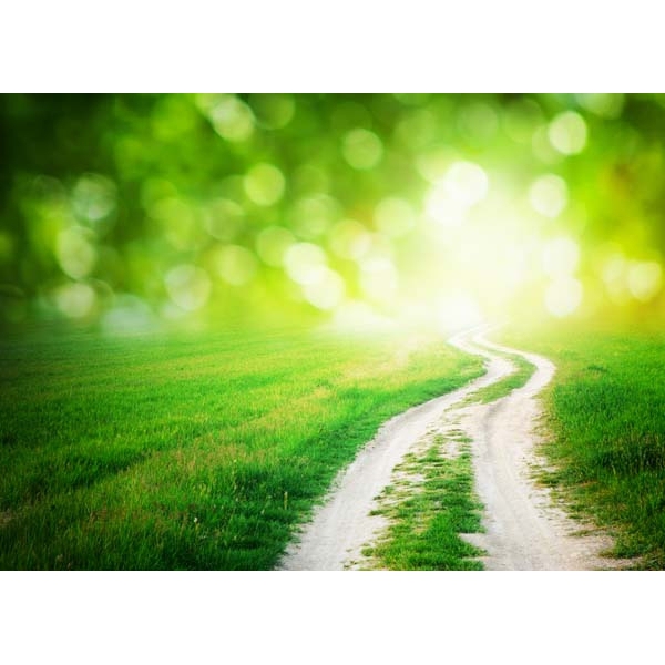 4326-1.jpg Fotomural camino rural