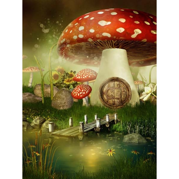 Fotomural infantil casa seta