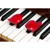Fotomural piano y petalos