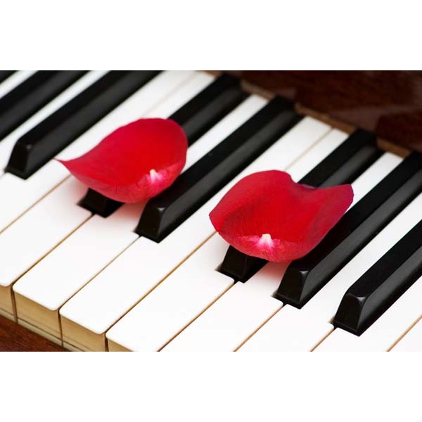 Fotomural piano y petalos