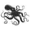5174.png Vinilo decorativo octopus