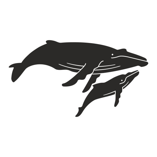 5798.png Vinilo infantil Ballenas