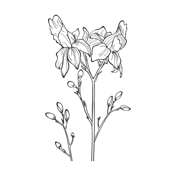 5806.png Flor silvestre