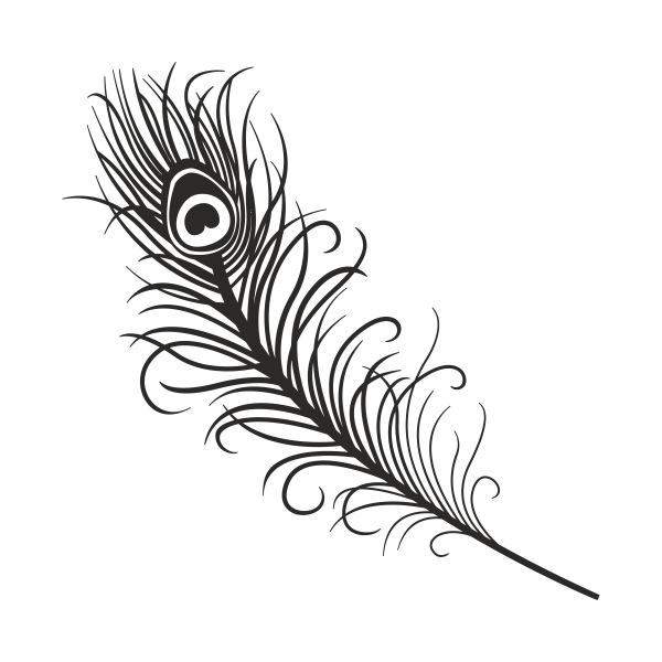 5822.png Feather