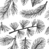 pp24 Papel pintado black branches