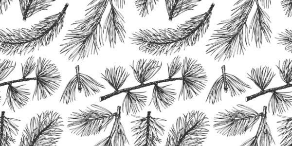 pp24 Papel pintado black branches