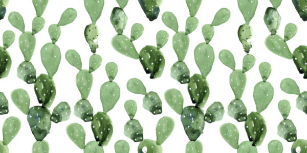 pp25 Papel pintado cactus