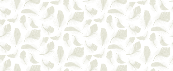 pp26 Papel pintado feather