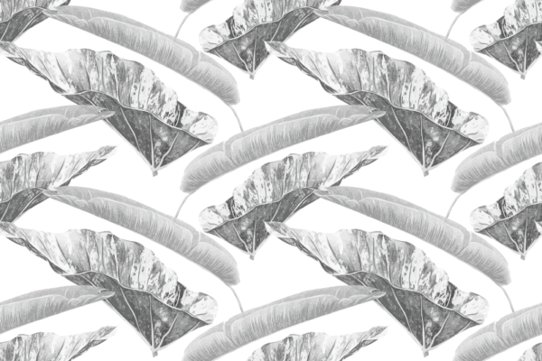 pp34 Papel pintado grey leaves