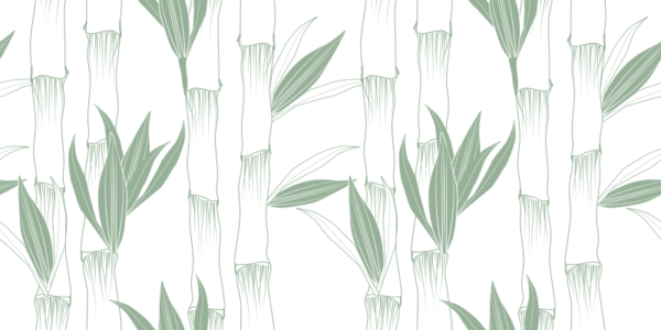 Papel pintado  bambu