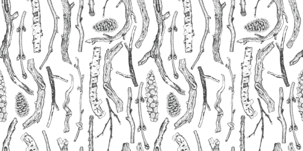 pp5 Papel pintado branches
