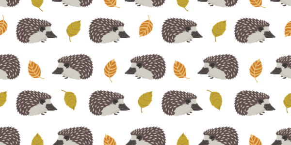 Papel pintado Hedgehog