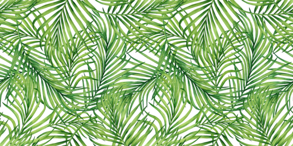 pp54 Papel pintado Tropical green